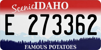 ID license plate E273362