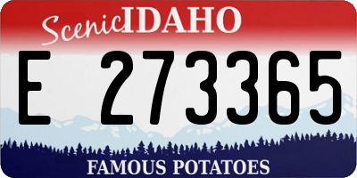 ID license plate E273365