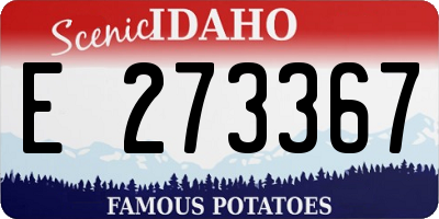 ID license plate E273367