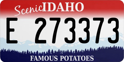 ID license plate E273373