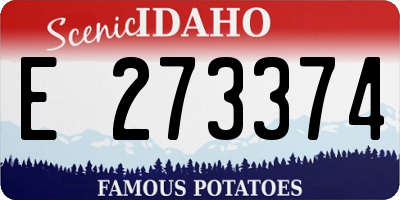 ID license plate E273374