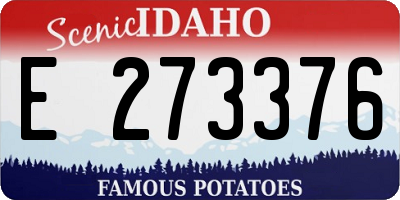 ID license plate E273376