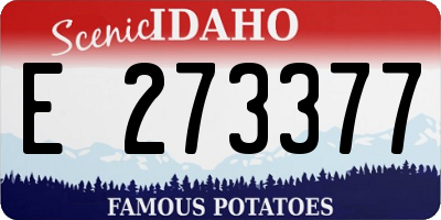 ID license plate E273377