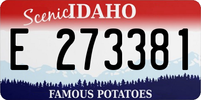ID license plate E273381
