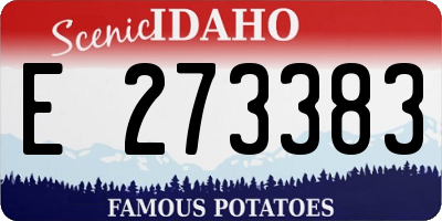 ID license plate E273383