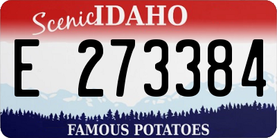 ID license plate E273384