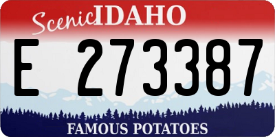 ID license plate E273387