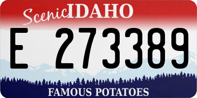 ID license plate E273389