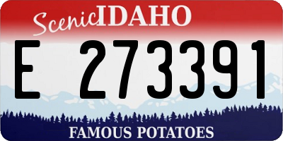 ID license plate E273391