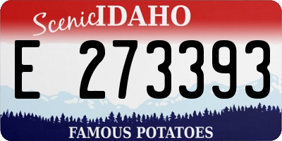 ID license plate E273393
