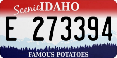 ID license plate E273394