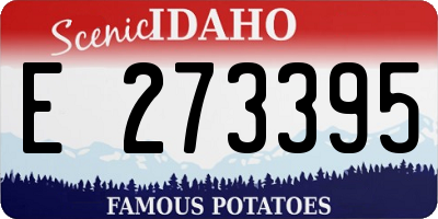 ID license plate E273395