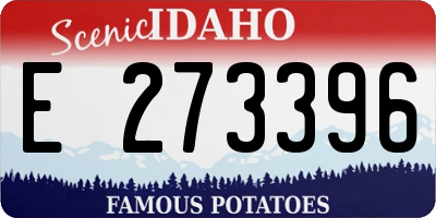 ID license plate E273396