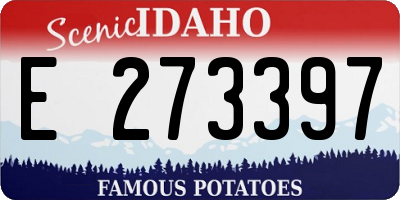 ID license plate E273397