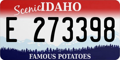 ID license plate E273398