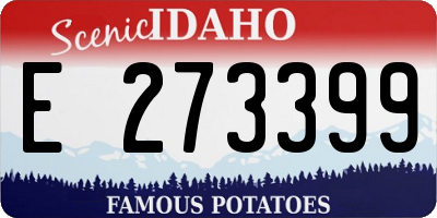 ID license plate E273399