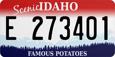 ID license plate E273401