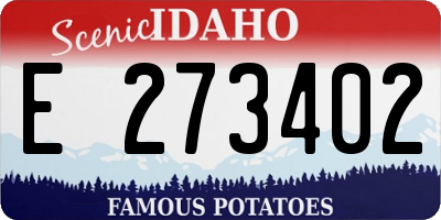 ID license plate E273402