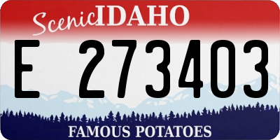 ID license plate E273403