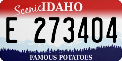 ID license plate E273404