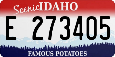 ID license plate E273405