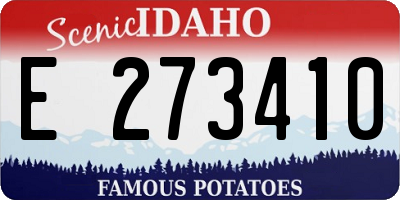 ID license plate E273410