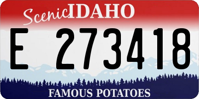 ID license plate E273418