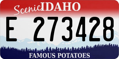 ID license plate E273428