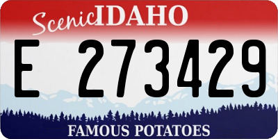 ID license plate E273429