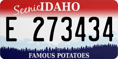 ID license plate E273434