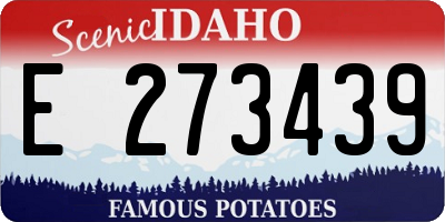 ID license plate E273439
