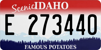 ID license plate E273440