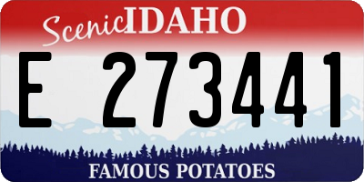 ID license plate E273441