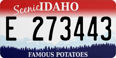 ID license plate E273443