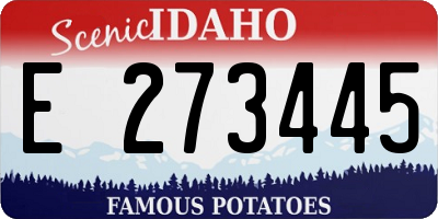 ID license plate E273445
