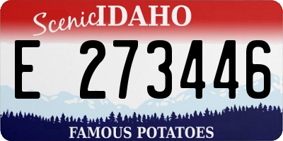 ID license plate E273446