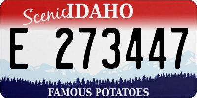 ID license plate E273447