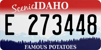 ID license plate E273448