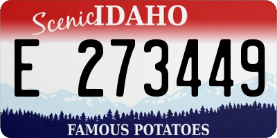 ID license plate E273449