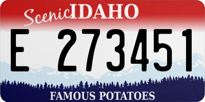 ID license plate E273451
