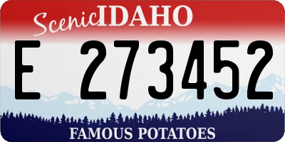 ID license plate E273452