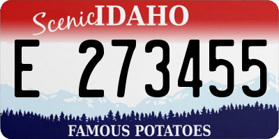 ID license plate E273455