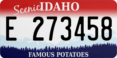 ID license plate E273458