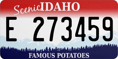 ID license plate E273459