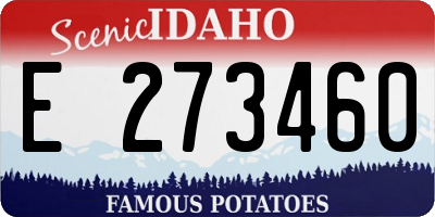 ID license plate E273460