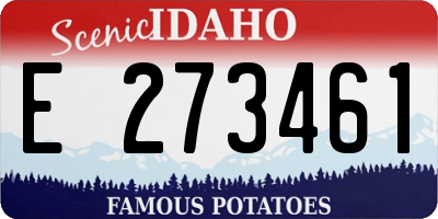 ID license plate E273461