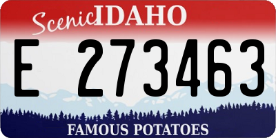 ID license plate E273463
