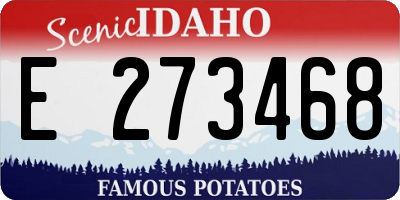ID license plate E273468