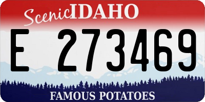 ID license plate E273469