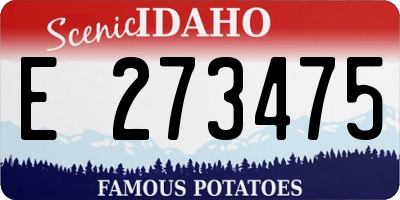 ID license plate E273475